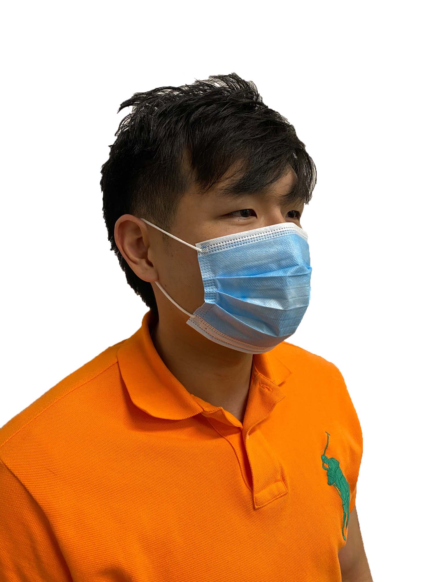 Earloop Facemask Type IIR (Case of 2,500) image