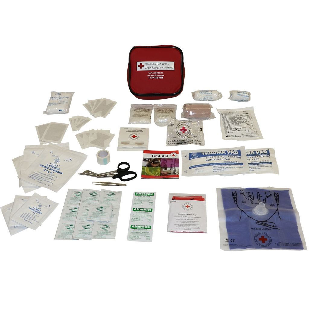 Auto First Aid Kit image