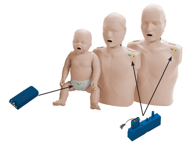 PRESTAN Professional Adult Manikin - 4-pack image